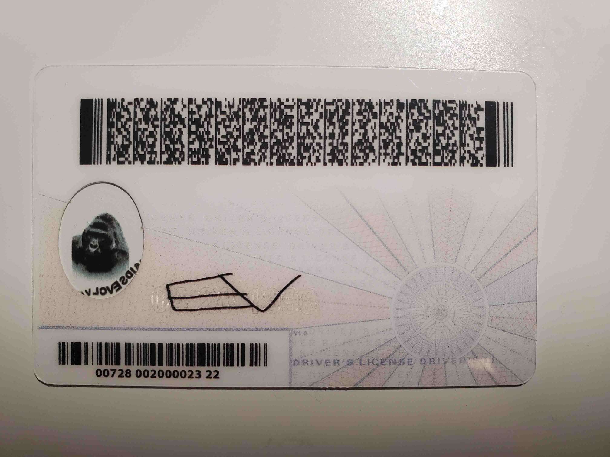 Virginia Fake ID Back