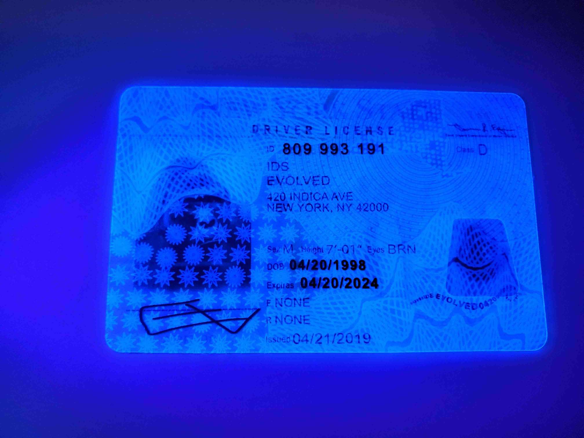 New York Fake ID UV