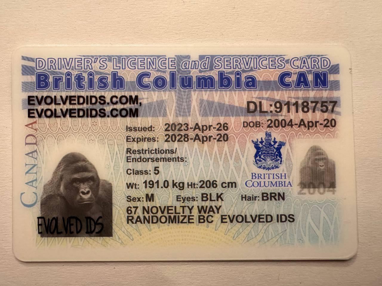 BC_CAD Fake ID Front