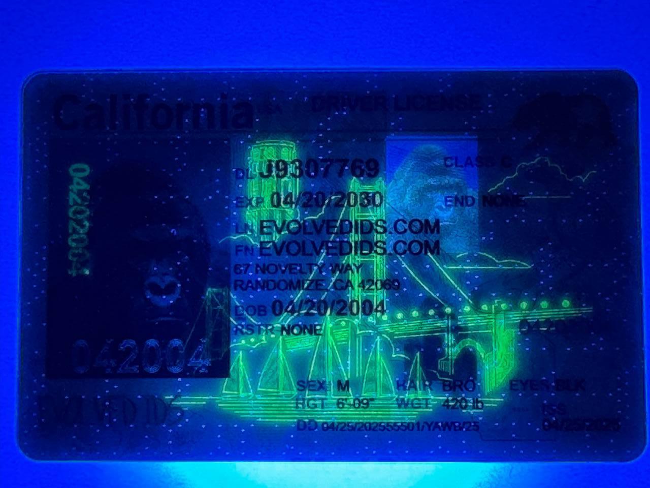 CA Fake ID UV