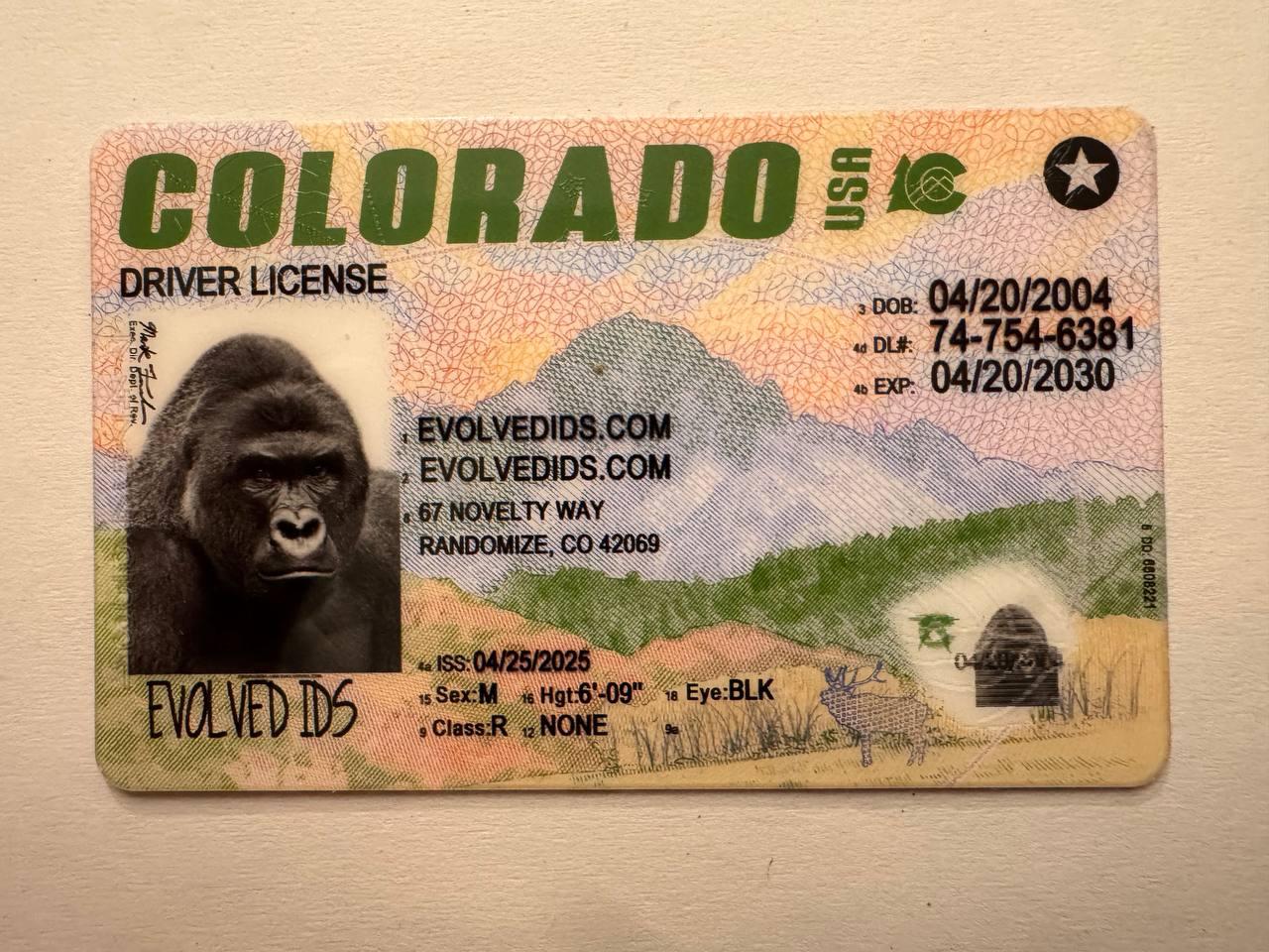 CO Fake ID Front