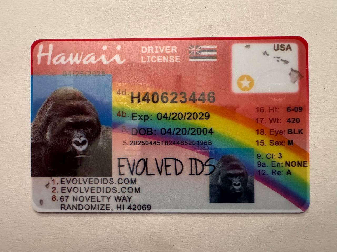 HI Fake ID Front