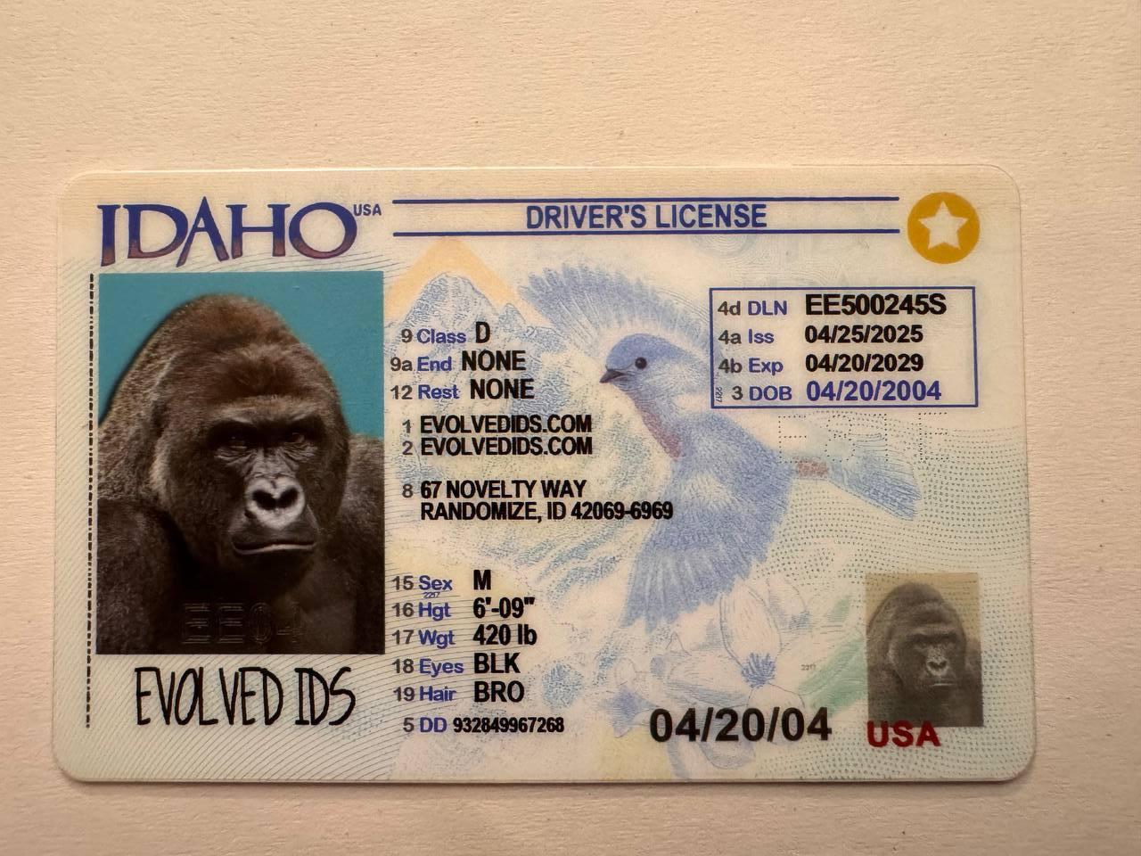 ID Fake ID Front