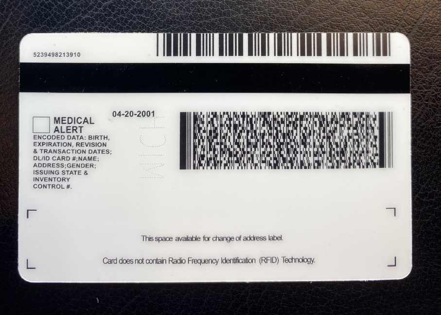 Michigan Fake ID Back