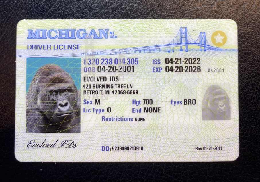 Michigan Fake ID Front