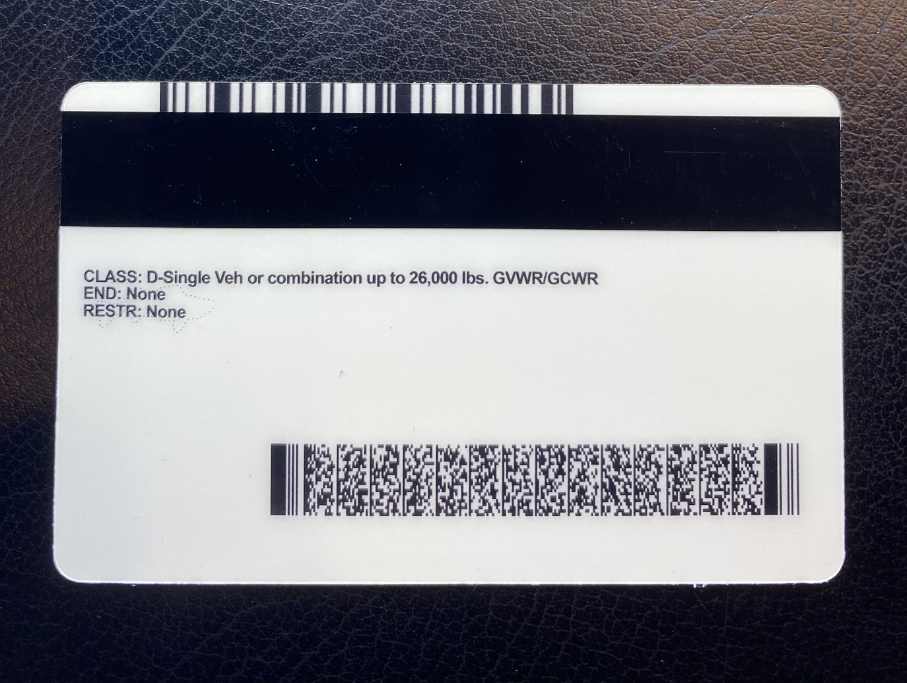 Minnesota Fake ID Back