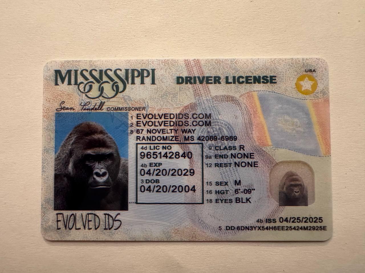 MS Fake ID Front