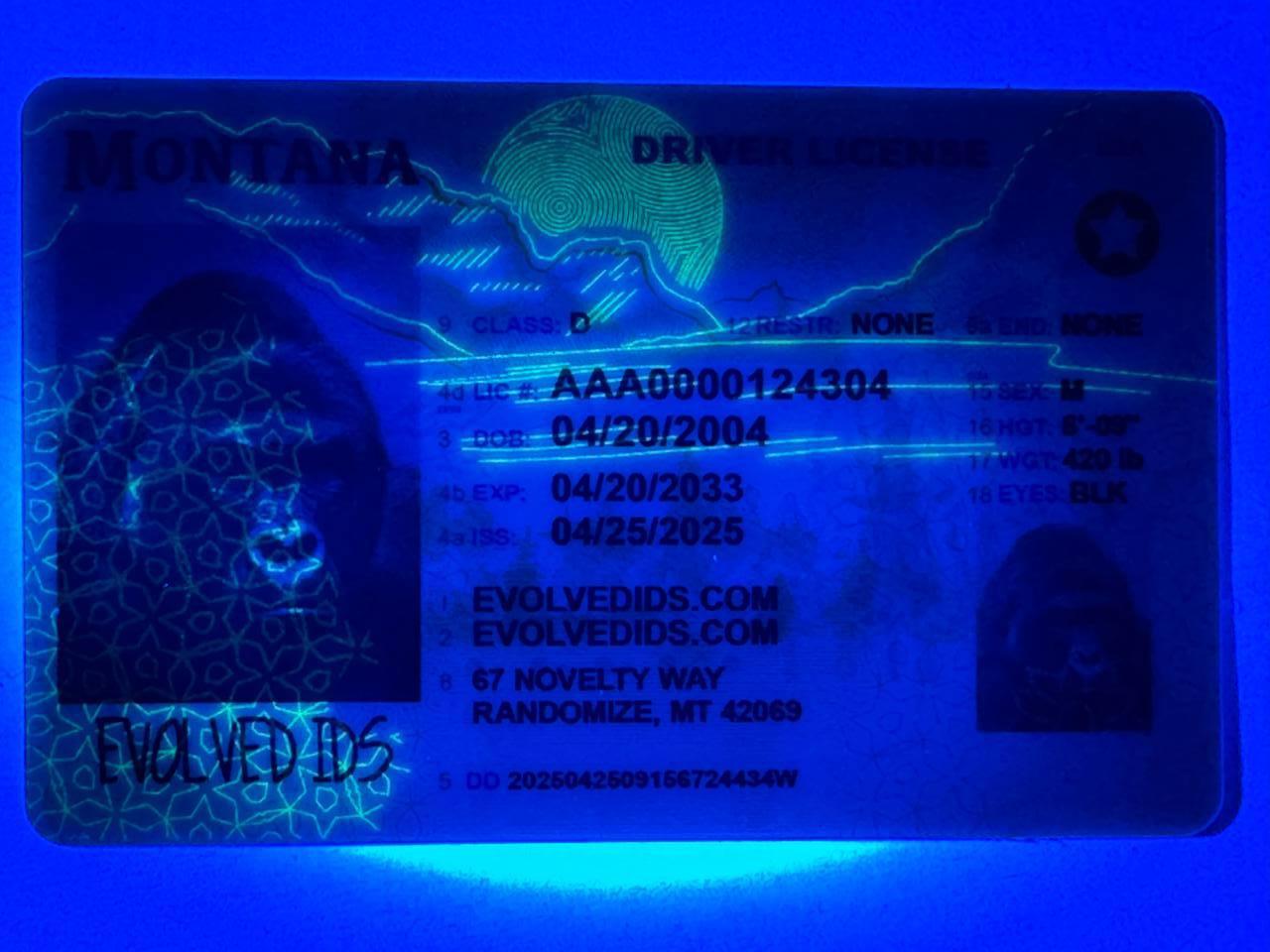 MT Fake ID UV