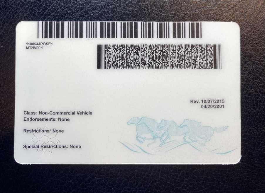 Montana Fake ID Back