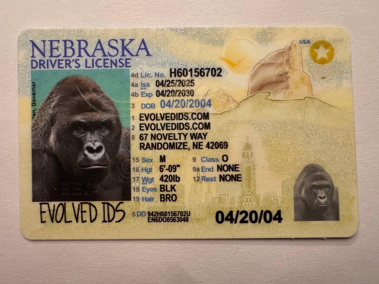 NE Fake ID Front