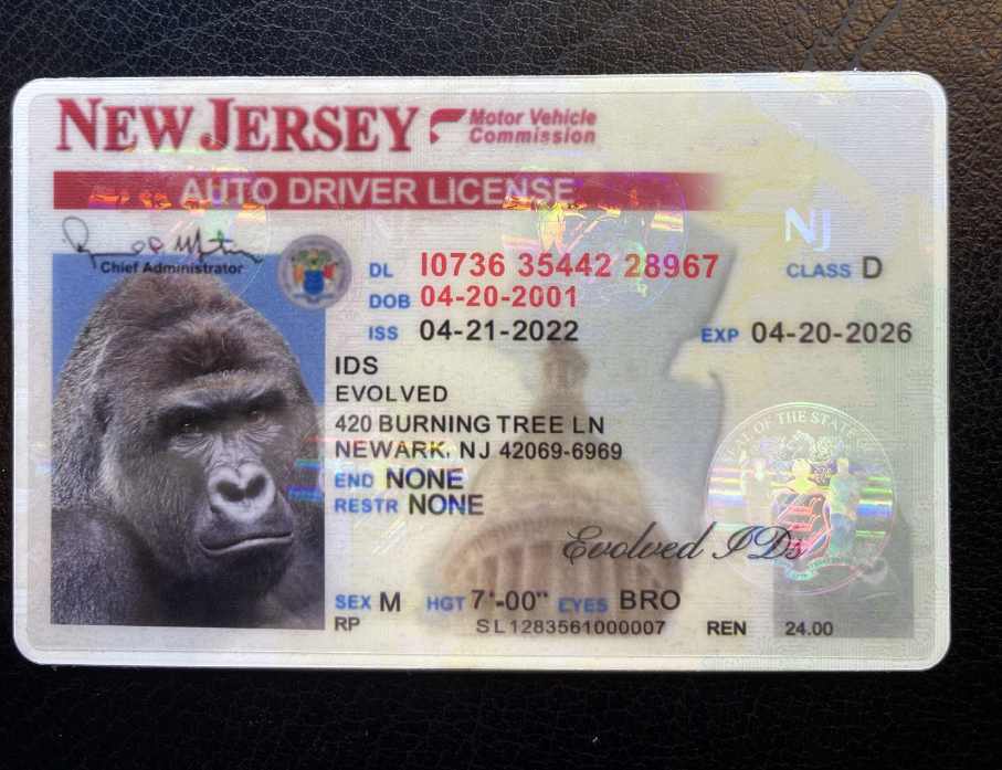 New Jersey (New Version) Fake ID