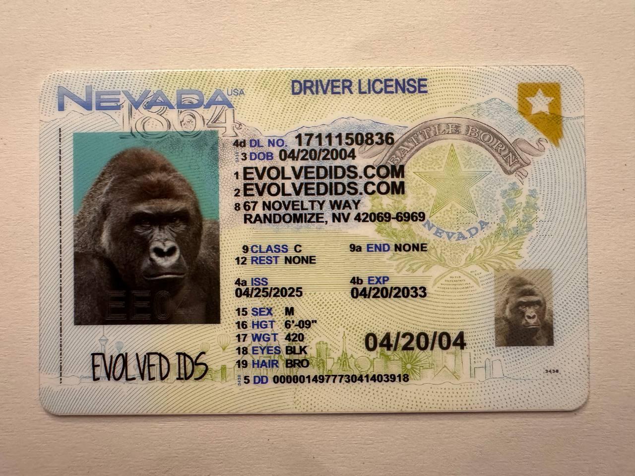 NV Fake ID Front