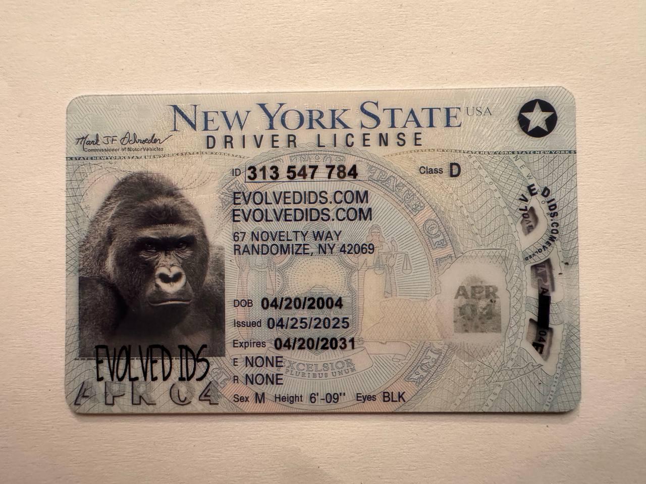 NY Fake ID Front