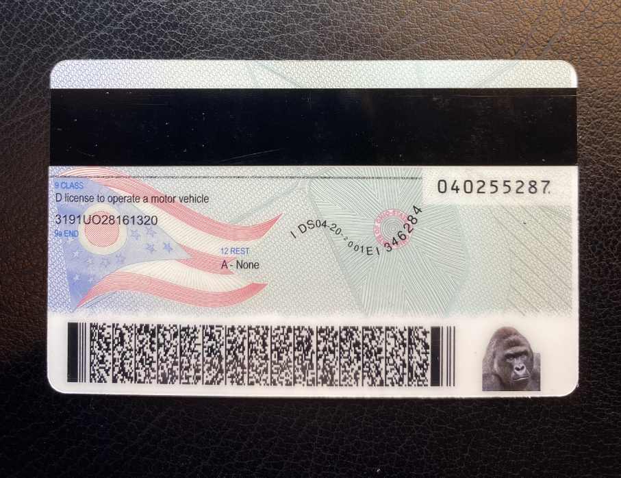 New Ohio Fake ID Back