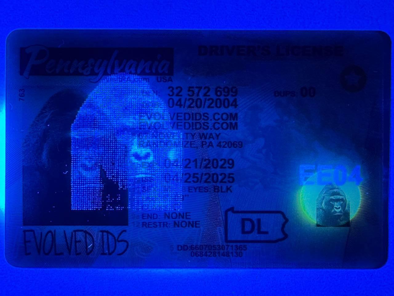 PA Fake ID UV