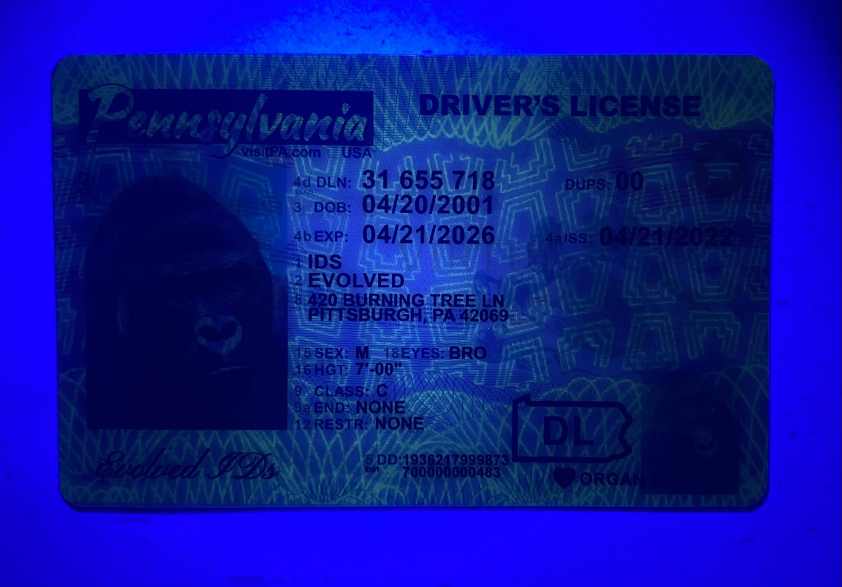 Pennsylvania Fake ID UV