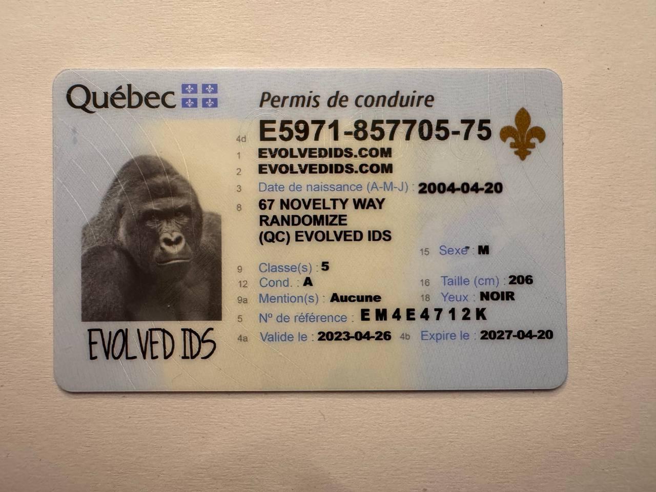 QC Fake ID Front
