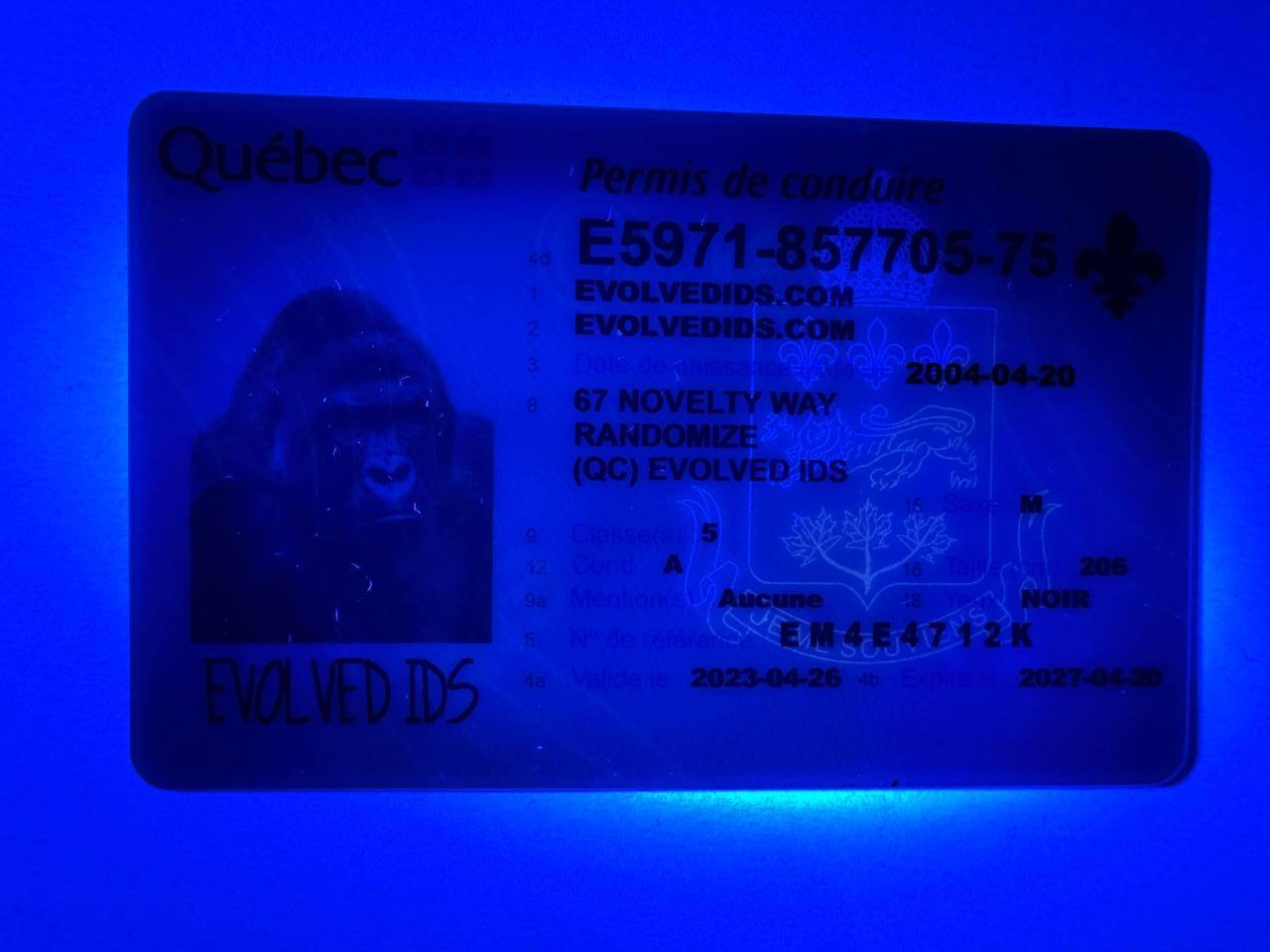 QC Fake ID UV