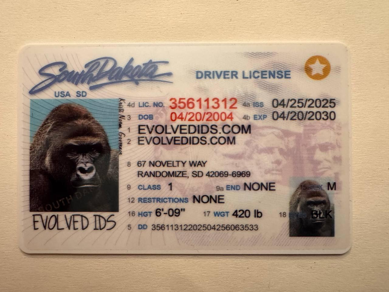 SD Fake ID Front