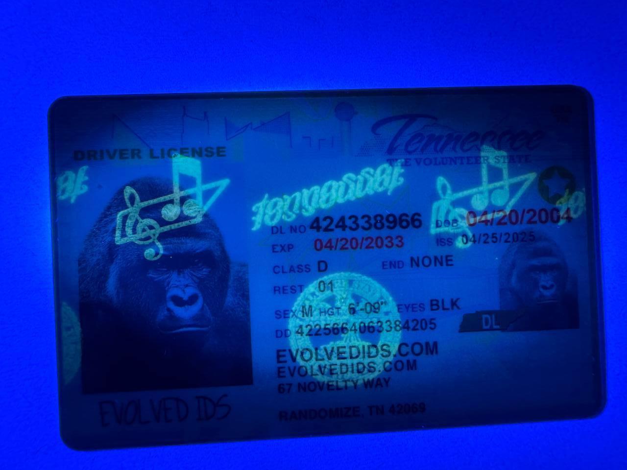 TN Fake ID UV