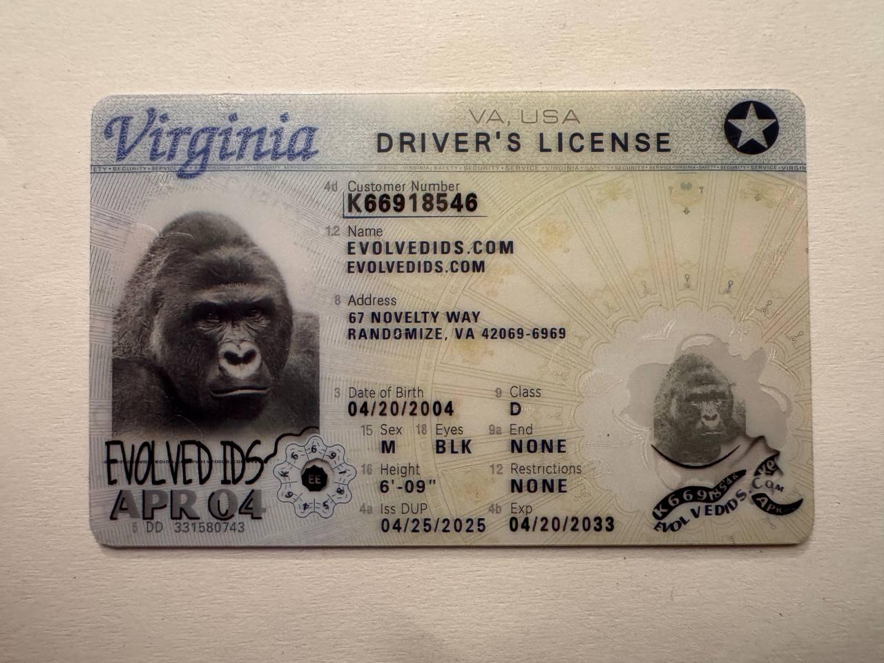 VA Fake ID Front