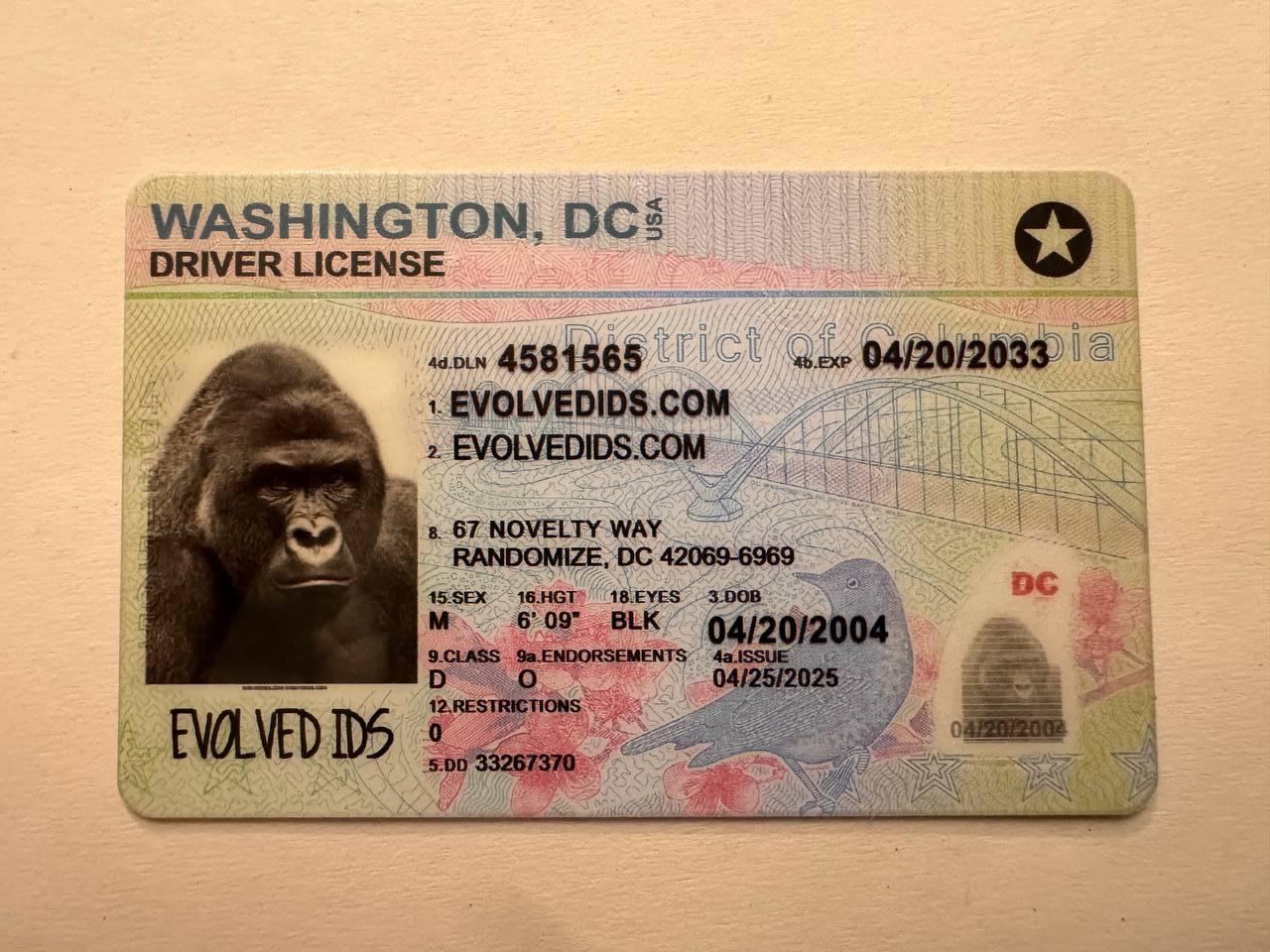 WA Fake ID Front