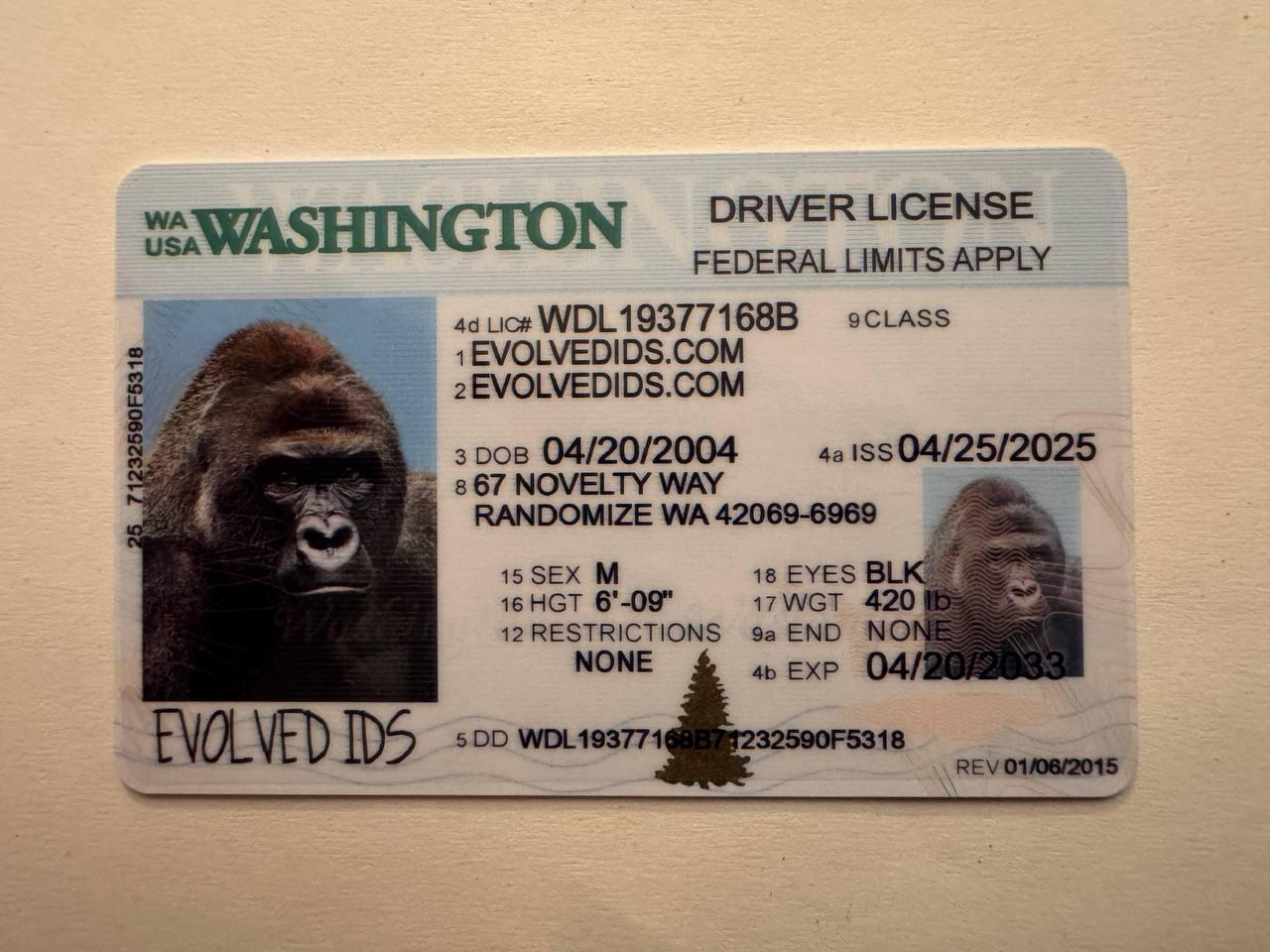 WA DC Fake ID