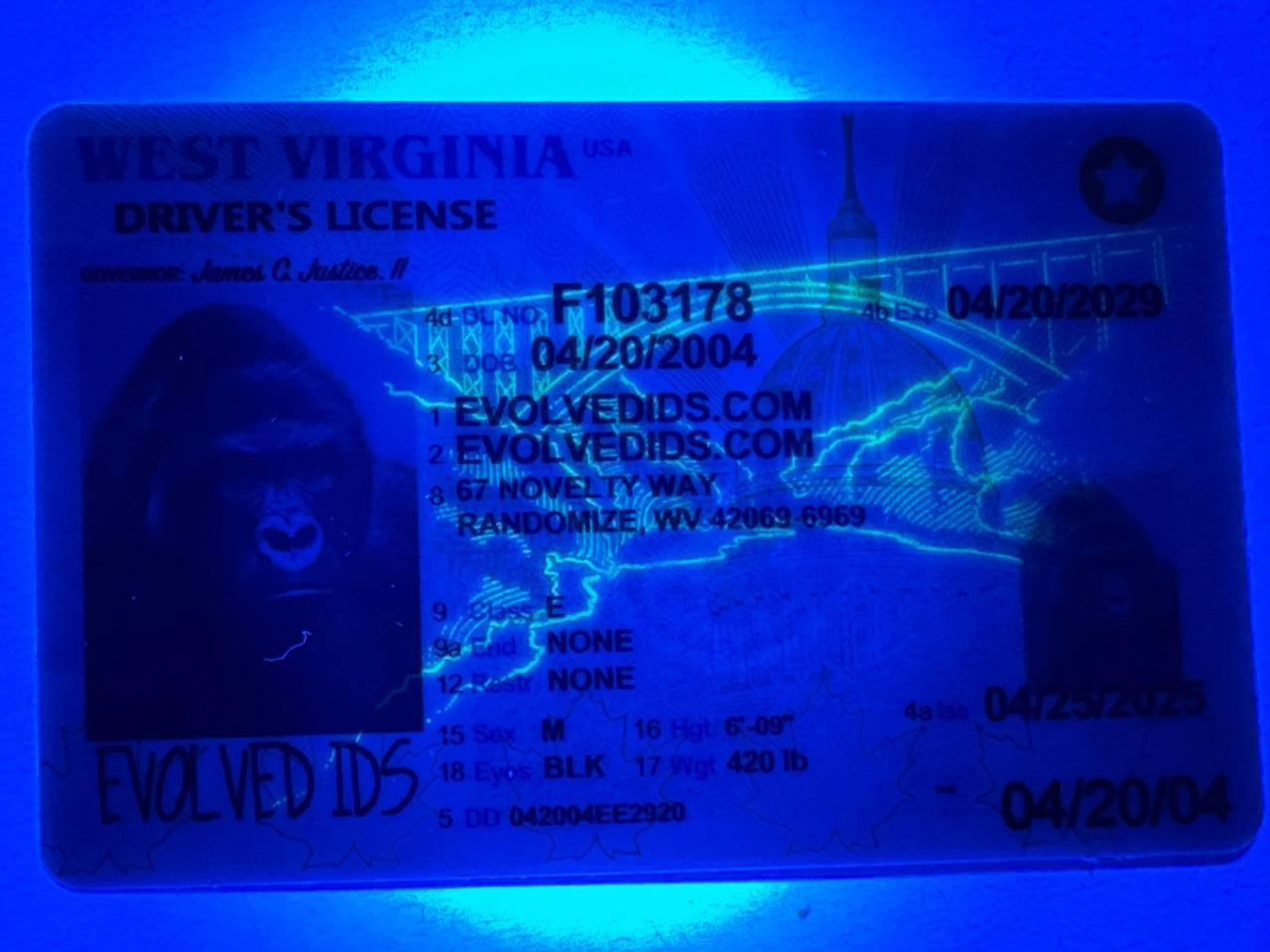 WV Fake ID UV