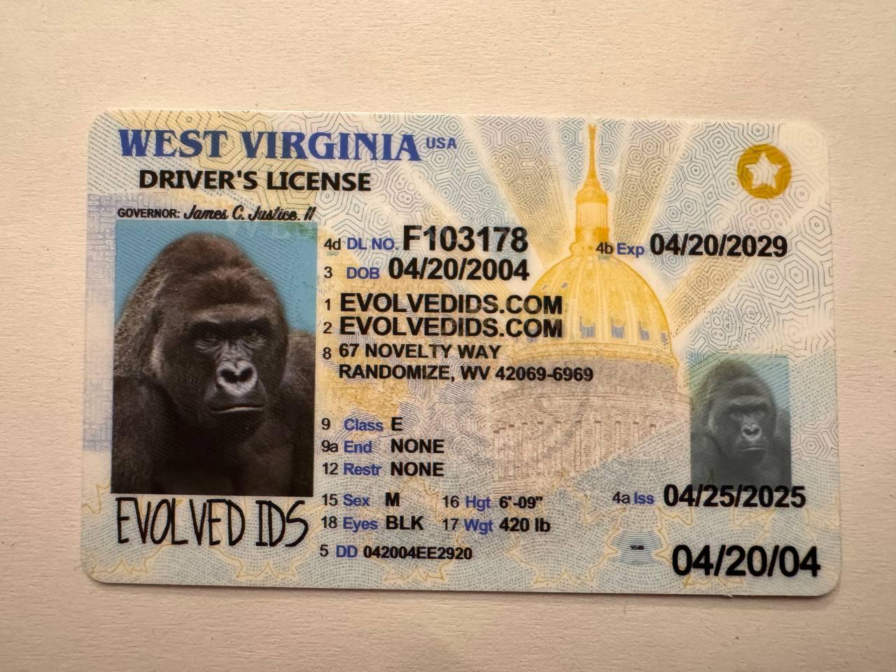 WV Fake ID Front