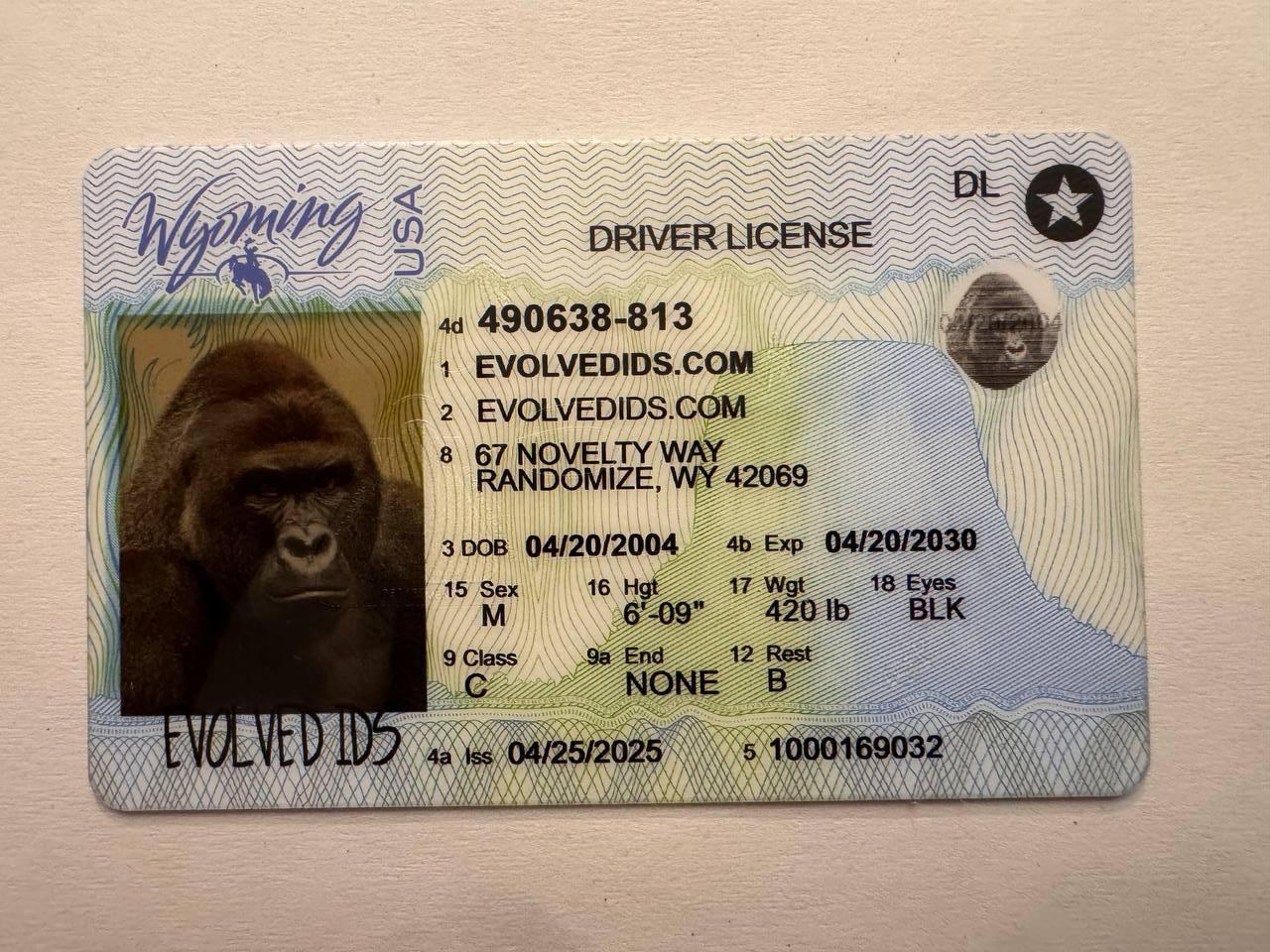 WY Fake ID Front
