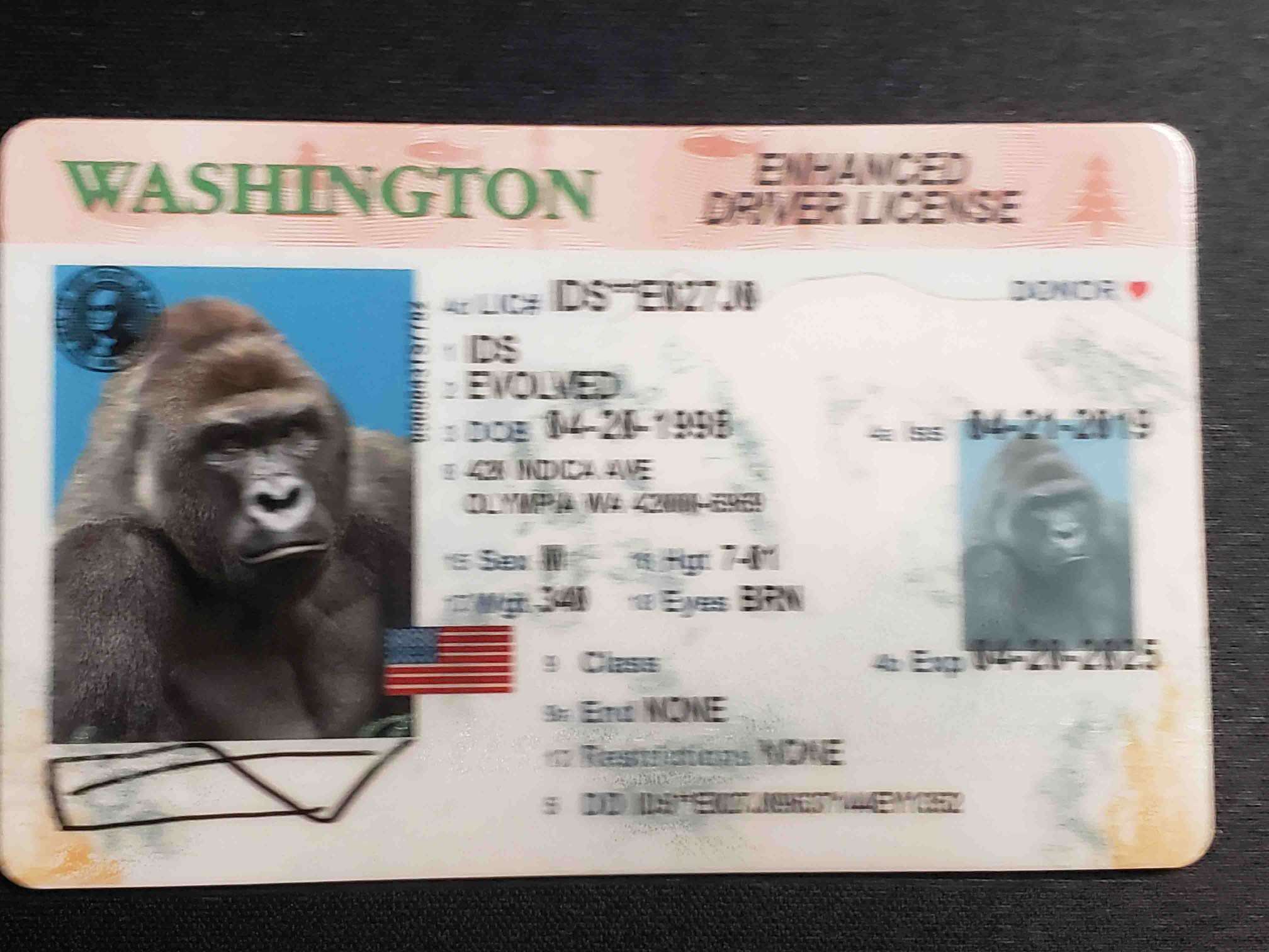 Washington EDL Fake ID Front