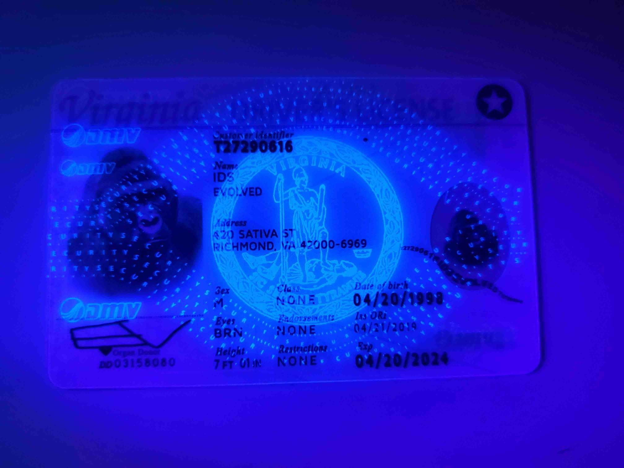 Virginia Fake ID UV
