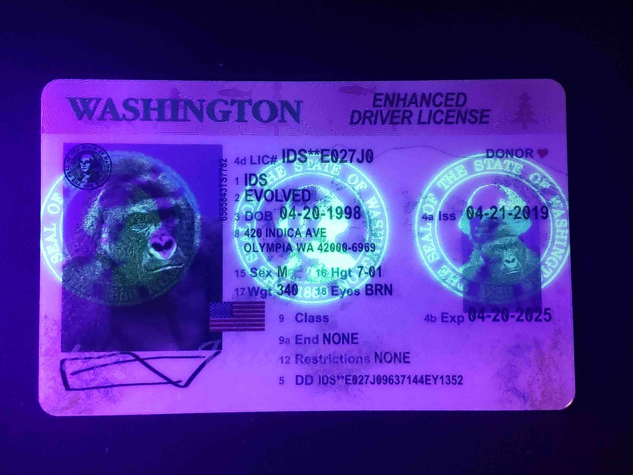 Washington EDL Fake ID UV